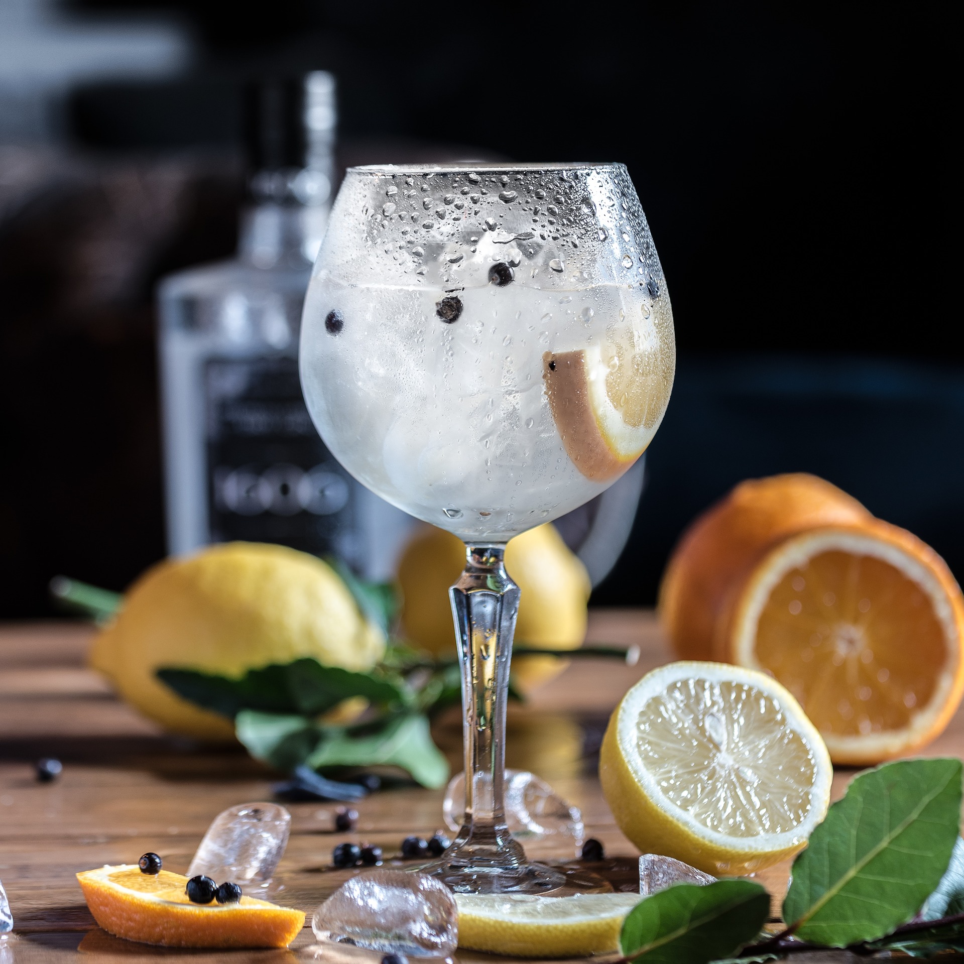 gin fieldfare 3 - gin